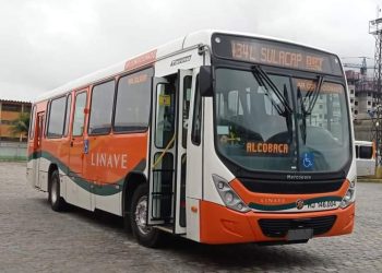 Ônibus da empresa Linave Transportes LTDA. Foto: Reprodução da Internet
